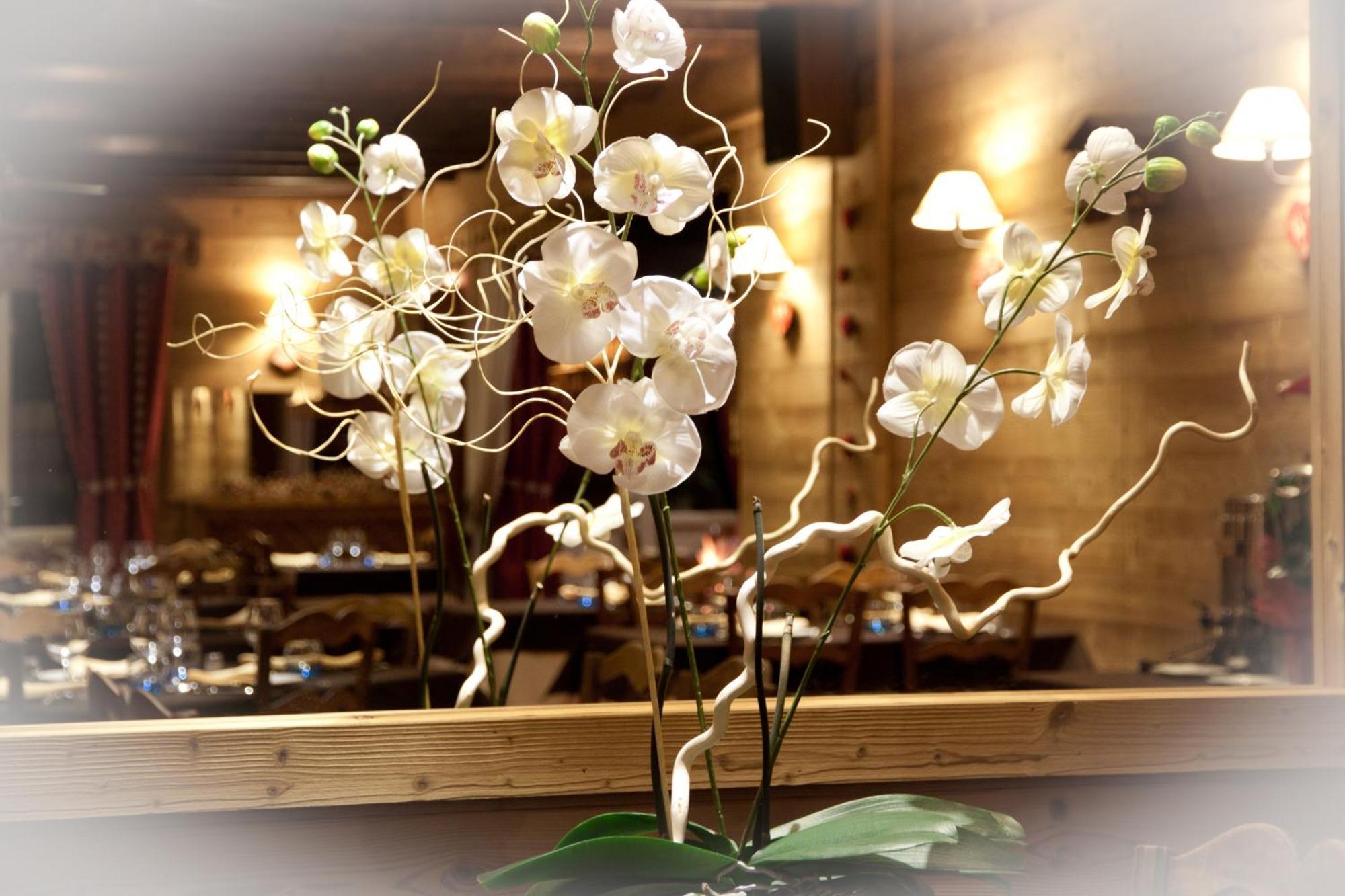 Hotel - Restaurant - Bar - Le Sapin Fleuri Bourg d'Oueil Luaran gambar
